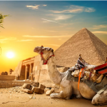 Satu Hari Tur di Mesir Petualangan Singkat yang Penuh Kejutan
