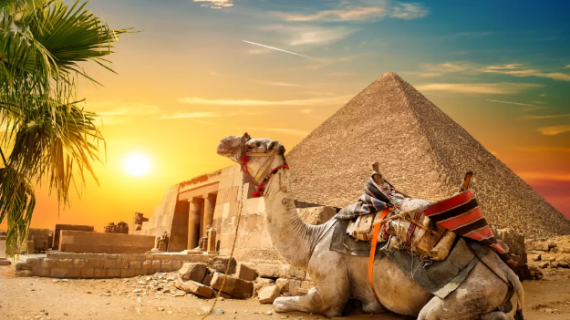 Satu Hari Tur di Mesir Petualangan Singkat yang Penuh Kejutan